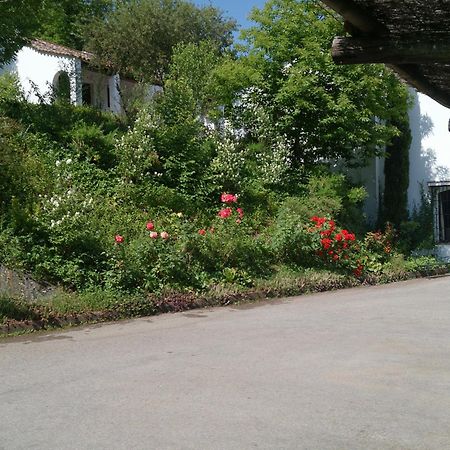 Finca Valbono Apartamentos Rurales Y Hotel 아레세나 외부 사진