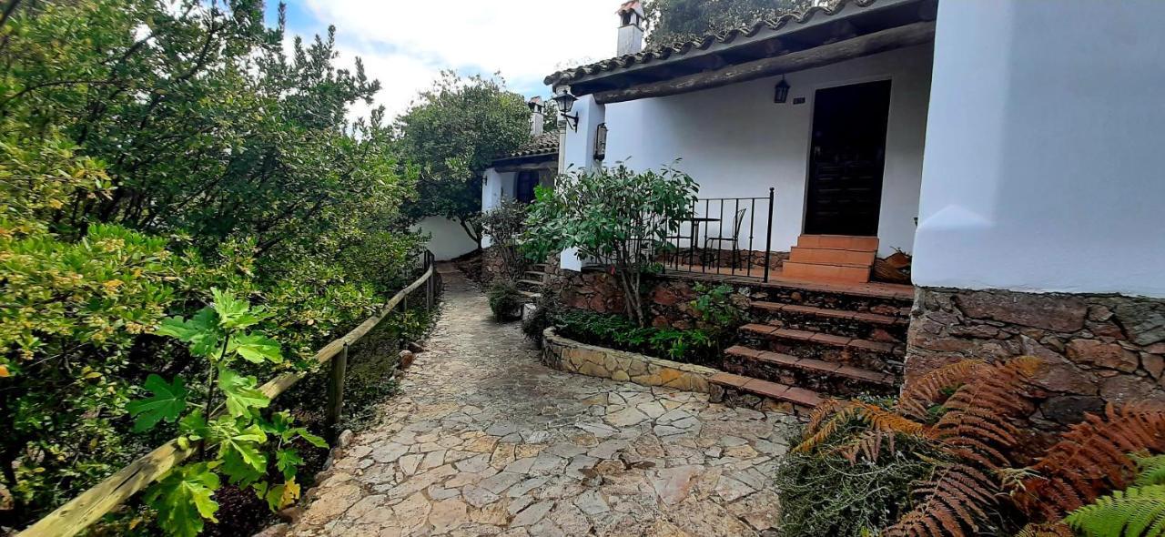 Finca Valbono Apartamentos Rurales Y Hotel 아레세나 외부 사진