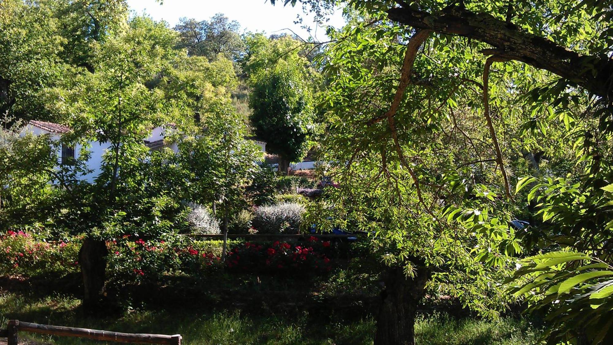 Finca Valbono Apartamentos Rurales Y Hotel 아레세나 외부 사진