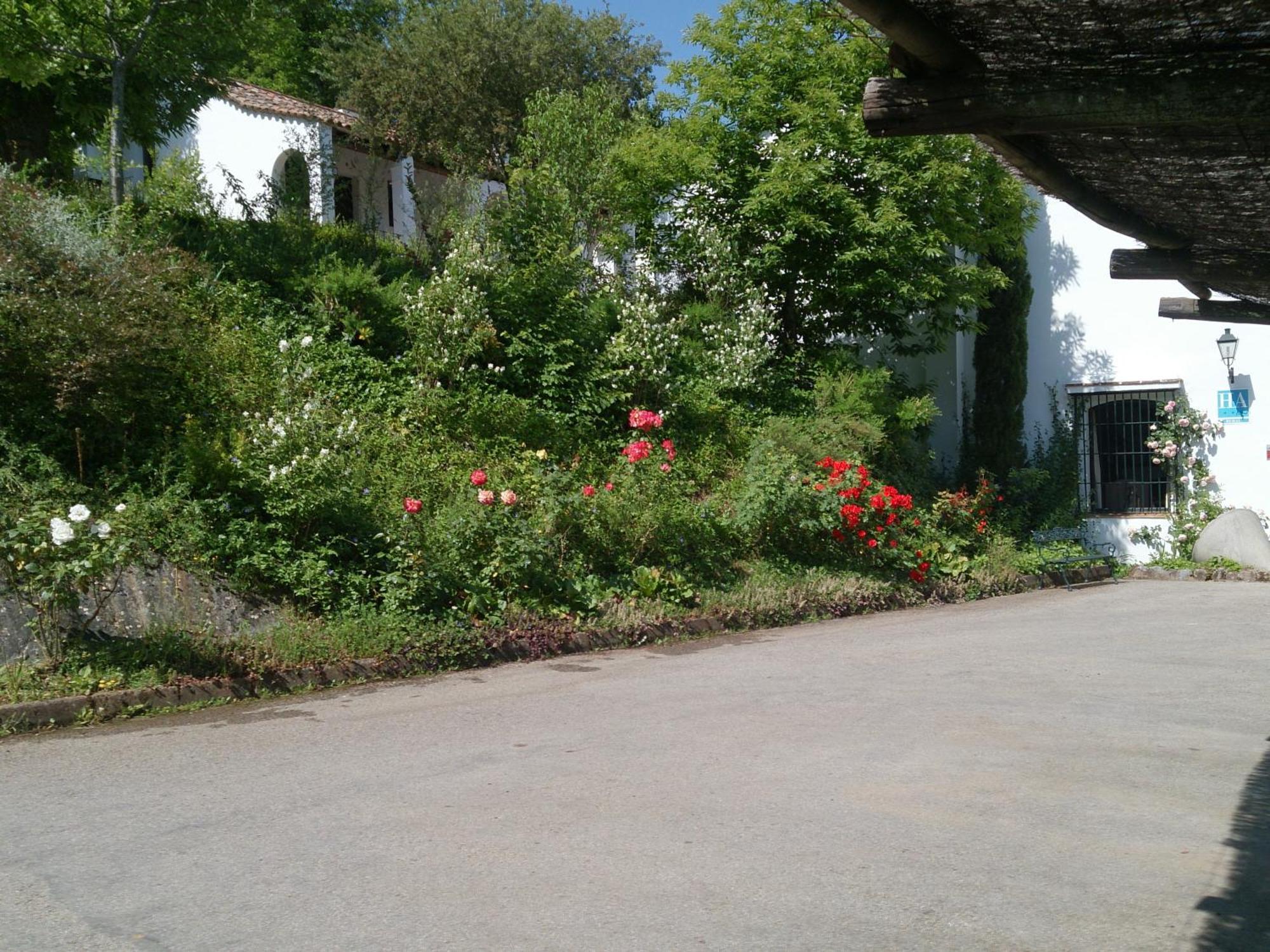 Finca Valbono Apartamentos Rurales Y Hotel 아레세나 외부 사진